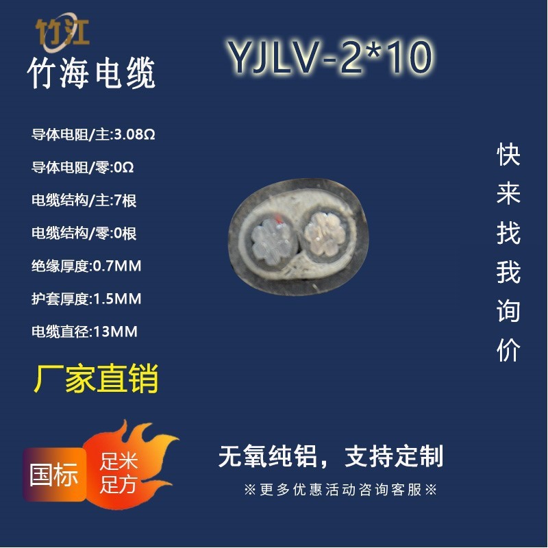【竹海】电力电缆YJLV2*10两芯无氧铝铠装国标铺设线缆铝线电缆线