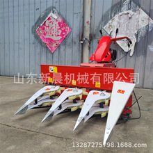 Сַޣո Ŀݲݸɹʽɹ