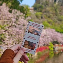 D ƾ^ղؼoӰA࿨ƬDzƬ͸