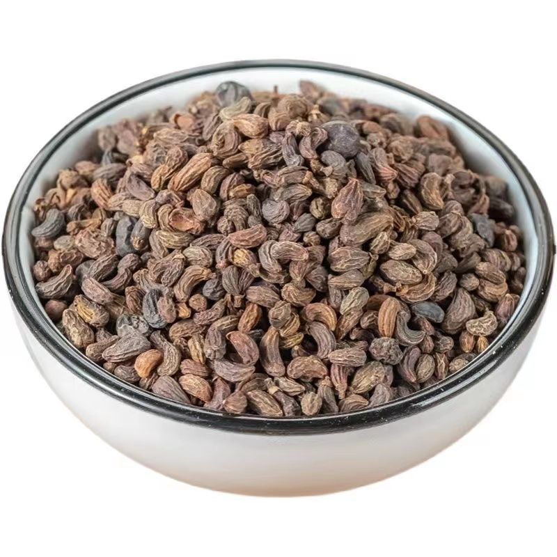 Glossy Privet Fruit Nuzhenzi 500g Dried Ligustrum lucidum Berries for Tea Wine and Herbal Decoction overview