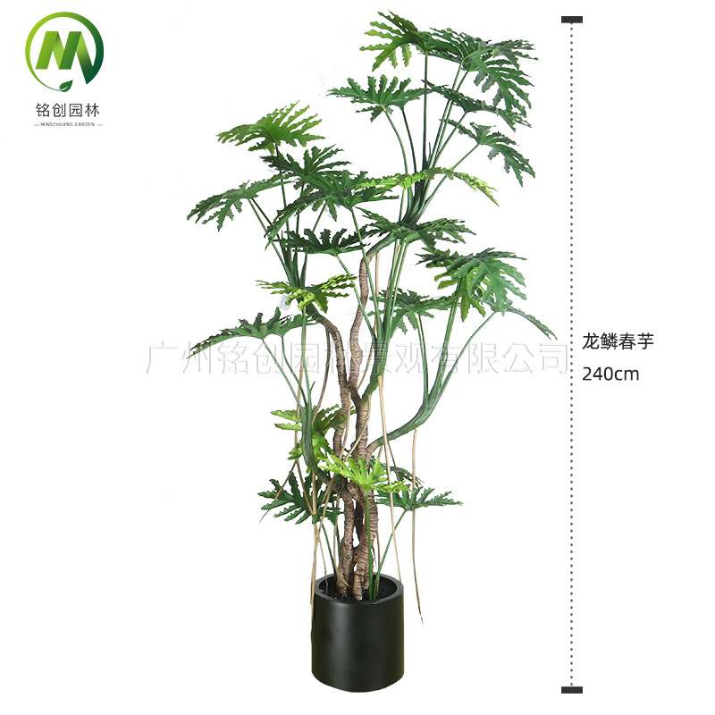 Simulación de interior Planta verde Simulación de plantación de disco Escala de dragón Taro de primavera Sala de estar Balcón Simulación Planta verde falsa Oficina Bonsai