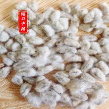 ޻ ޻Nʎë ޻ 510հl꡿