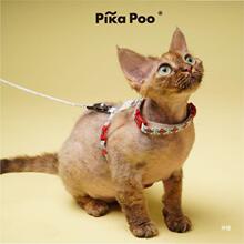 QZee Pika Poo؈䠿Kرbȫ؈Ȧ̲ż