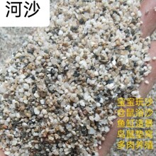 厂家批发河沙烘干分目10-20目建筑贝壳砂真石漆海沙儿童娱乐沙子