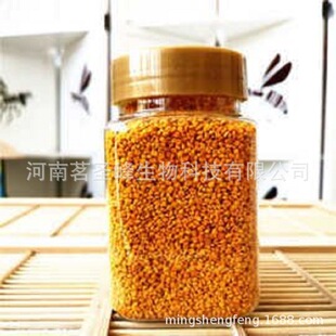 �ɻ��� �����ɻ�����Ϸ仨���Ʊ��ɻ��� �����˻������l