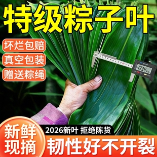 ���~�����~��̖�����ӌ��õ��~�Ӵ�ɶ��繝�����K���~���~��؛