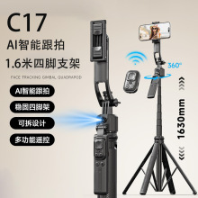 ¿C17AIķs̨֙CėUȫԄ֙C֧