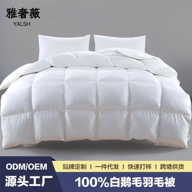 Authentic Hotel 100% White Goose down Quilt, Feather Duvet Core, White Goose down Silk Duvet Core, Spring and Autumn Quilt, Thickened Winter Quilt