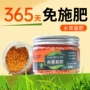 长效缓释开缸肥料基肥