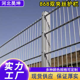 栏栅定制868双夹丝护栏喷塑铁丝网体育场围网双横丝防护钢丝网片