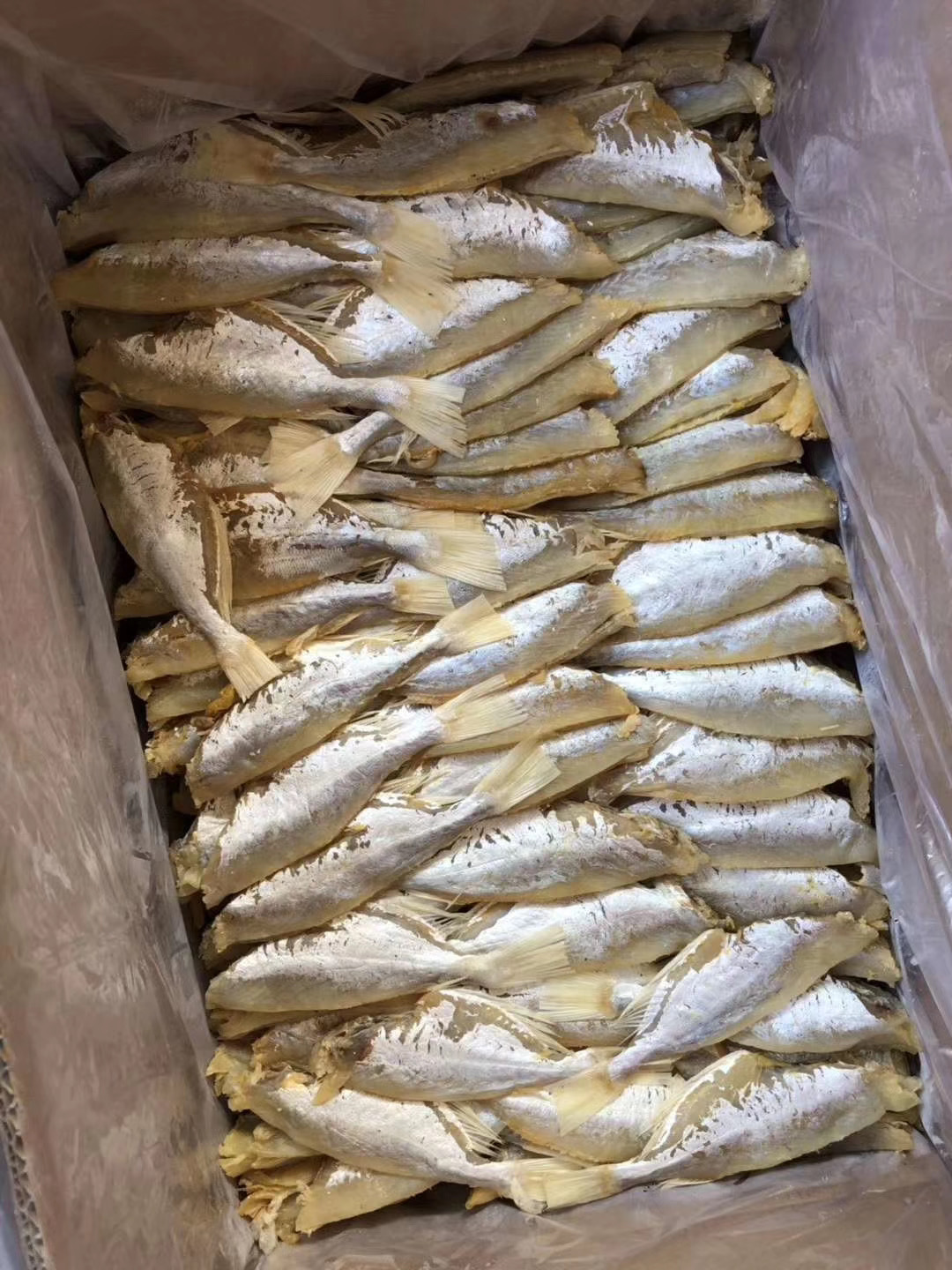 咸鱼批发一整箱