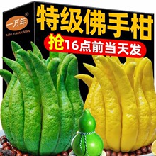 ��Ϸ��ָ��ش��r����Ȼ��޹�����^�p�[���҃������㙴���ֹ�