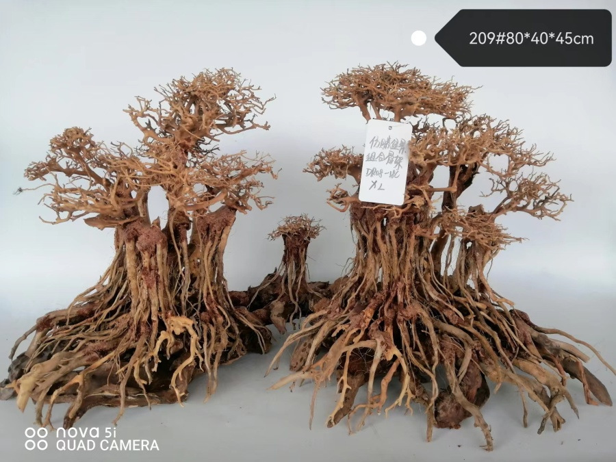 Бразильское дерево 18CXL