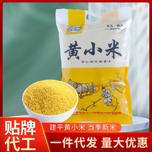 �SС��2.5kg���lɢ�b��������r����ŴС������s�Z��ּZ