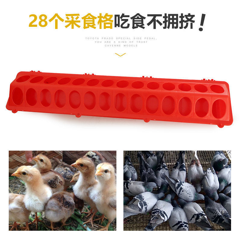 ひよこ用給餌器、ひよこ用給餌器、鶏用給餌器、鶏用給餌器、鶏用給餌器、鶏用給餌器、ハト、ウズラ|undefined