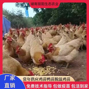 �S���u����w�����S����ĸ���������h���u�е��u��ڞ����u���_�u