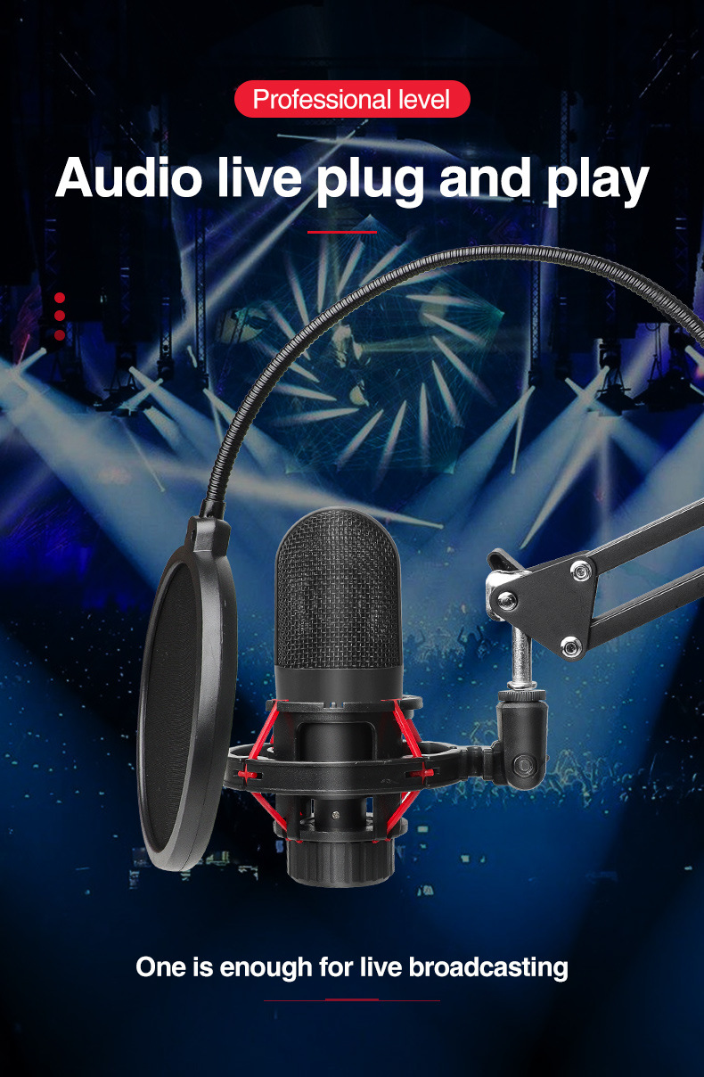 BM800 condenser microphone mixer sound card live broadcast set 13 详情页_01