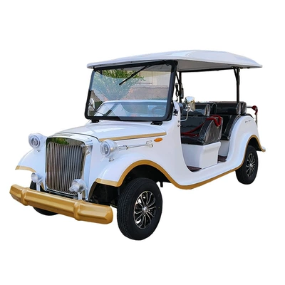 Sightseeing Vehicle — Aosen Auto Parts and Accessories