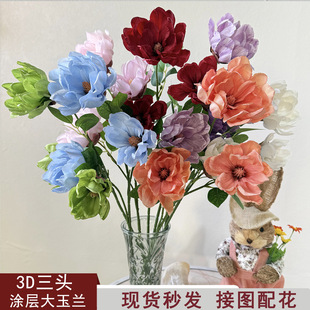 ���m 3�^���m�� ��c�Ƶ��҃Ȳ��ý��� ��Y��̨�쾰�廨�ٻ�