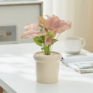 �t�ۼ��˺Ϲ�����������Gֲ�k���������҃Ⱥ��Bֲ���ݗ������ȩ