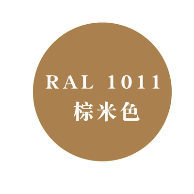 Orange Raul Self-Spray | Avtomobil boyası - ral-1011-brown-beige-450ml-spray-paint
