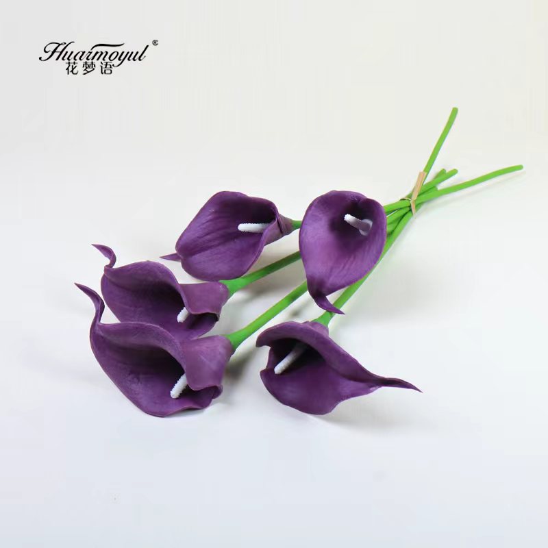 칼라 릴리-곤약 퍼플(화이트 코어)