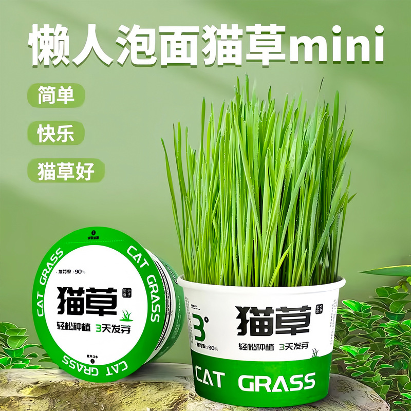 Lazy Person Instant Noodles Cat Grass Potted Seeds Catnip Cat Supplies Complete Snacks Easy and Gentle Hair Removal Grass Hair