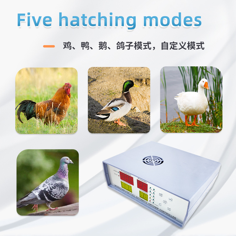 Incubadora externa XM18K-2 controlador de control de temperatura de control inteligente sistema húmedo incubadora automática termostato