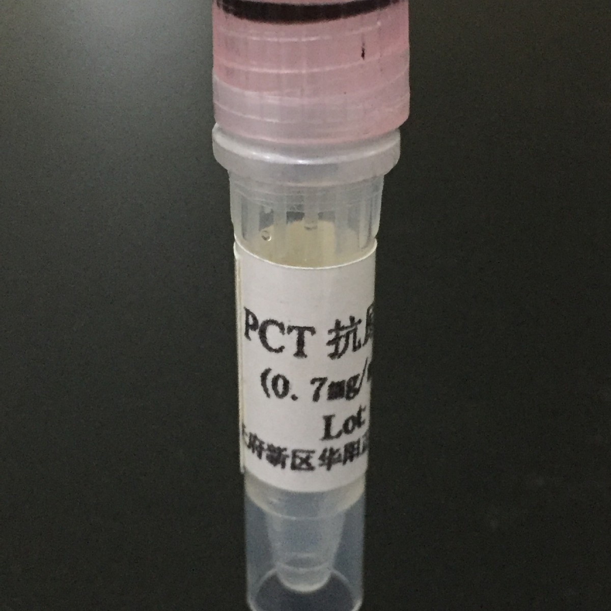 ������ԭ��PCT��