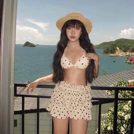 韩国海边度假泳衣女2026夏季新款分体小胸聚拢泡温泉性感跨境泳装