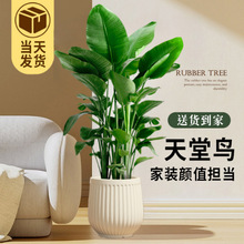 �����B�͏d�����k���҃ȴ��;Gֲ���B�׻��������ȩ��ش��~ֲ��