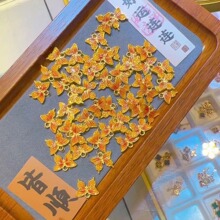 �S���_��������Ů2024�¿�999�������i��朶Y����Ů��