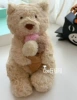 Ice Cone Bear
