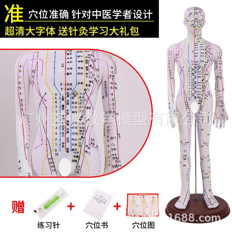 �������ģ���˾���Ѩλ��ҽȫ��ʮ��ͭ��ģ��ͼ��������ϰСƤ��