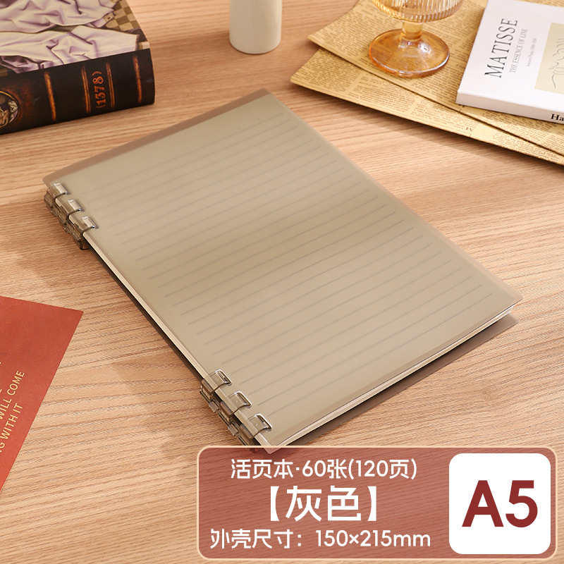 Este cuaderno de hojas sueltas B5 se puede desmontar para reemplazar el núcleo, la portada de las hojas sueltas PP respetuosas con el medio ambiente no presiona el libro de bobinas engrosadas a Mano.
