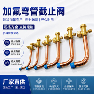 �S�ҹ����ʽ�����S�~���{�y�ߵ��y��ֹ�y���{��C�B���y�T�ӿ�