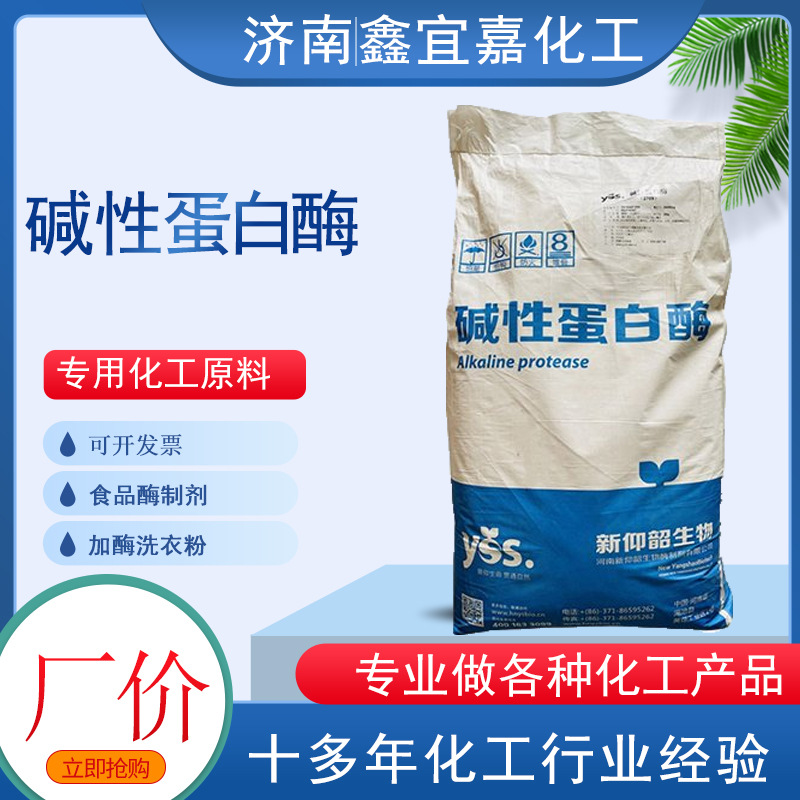 碱性蛋白酶  酶制剂 蛋白酶 批发 供应  食品级 碱性蛋白酶