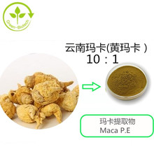 云南玛卡黄玛卡10：1玛卡提取物 玛卡比例品质 另有黑玛卡红玛卡