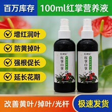白掌红掌专用营养液促开花防黄叶一帆风顺火鹤花通用型肥批发