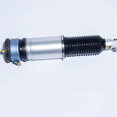 Rear right air suspension Asqı sistemi / Xodovoy hissələr