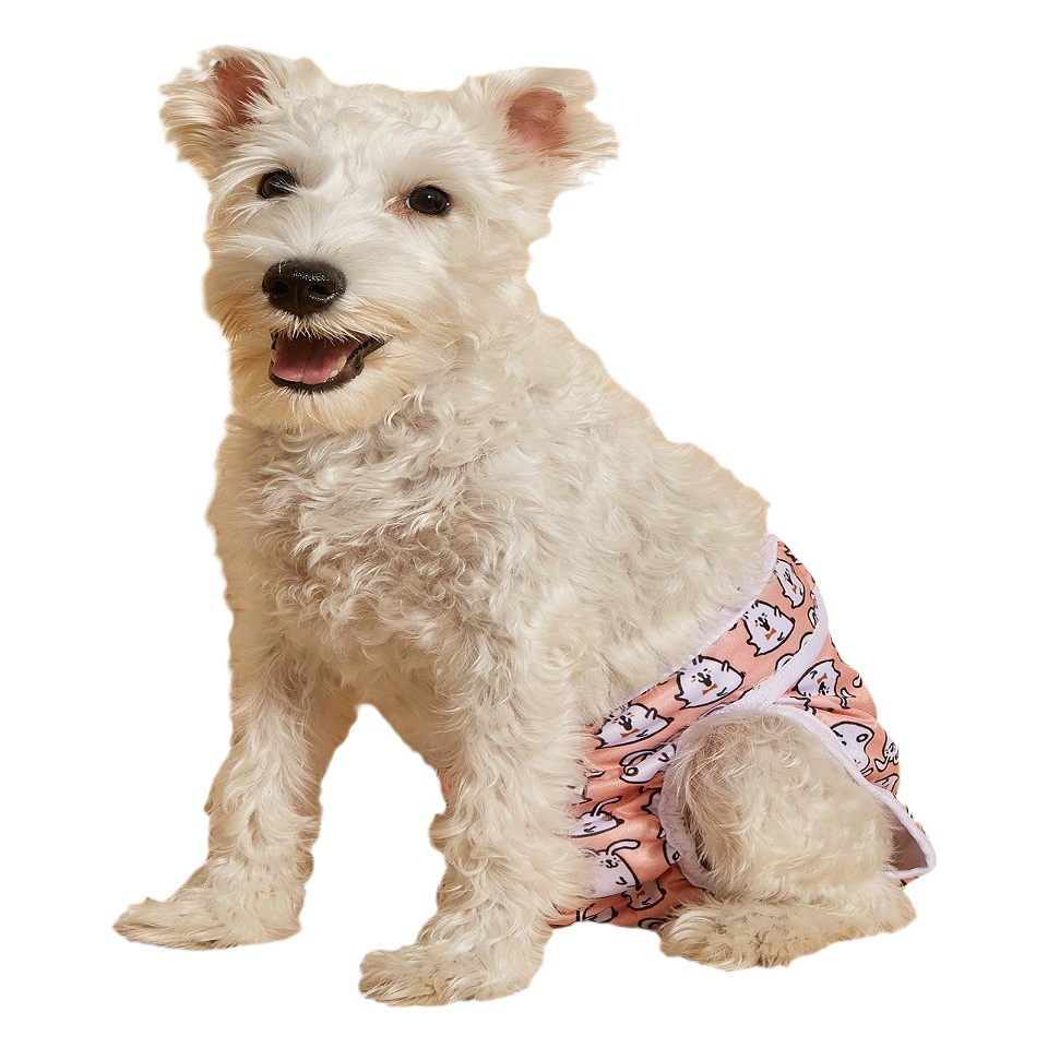 Женские физиологические штаны для собак Тедди золотистый ретривер менструальные штаны для собак гигиенические подгузники для домашних животных физиологические штаны с течкой оптом