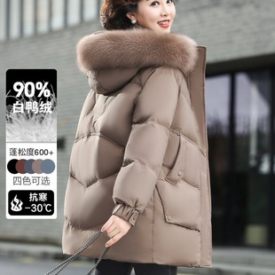 �aԴ�鼯�F�������b��q��2025�¿���������Ů�����Ӻ����L������