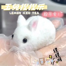 �¿������С�������󘷽≺���ֵ������ż�[��������Y���|��
