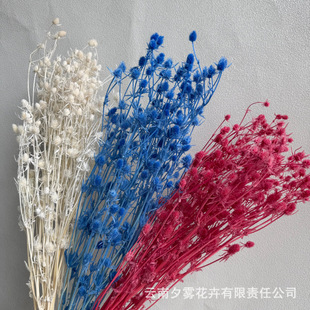 ���˹�������С����diy����ins�L�Ҿ��b廨�Y���仨�Ĕz����