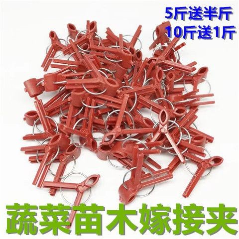 50个蔬菜嫁接夹黄瓜夹/西瓜甜瓜嫁接夹圆口平口茄子嫁接塑料夹