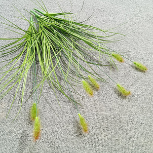 �����JȔ��֧�ݻ�c�����Ƶ�ٻ����@�b���ëë�x���Ѳݿ羳