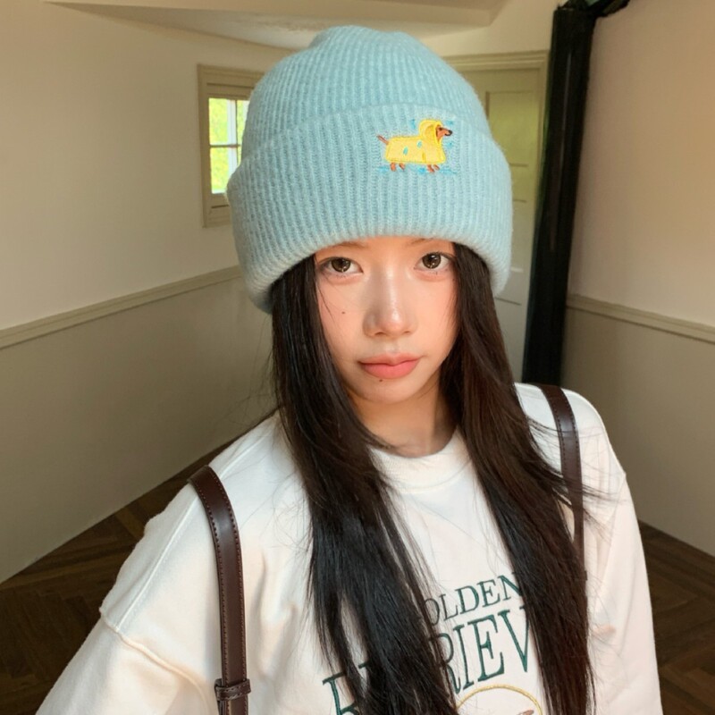 Raincoat Puppy ~ Versatile Embroidered Wool Hat 2025 Women's Autumn and Winter Cute Big Head Circumference Face-Slimming Knitted Hat