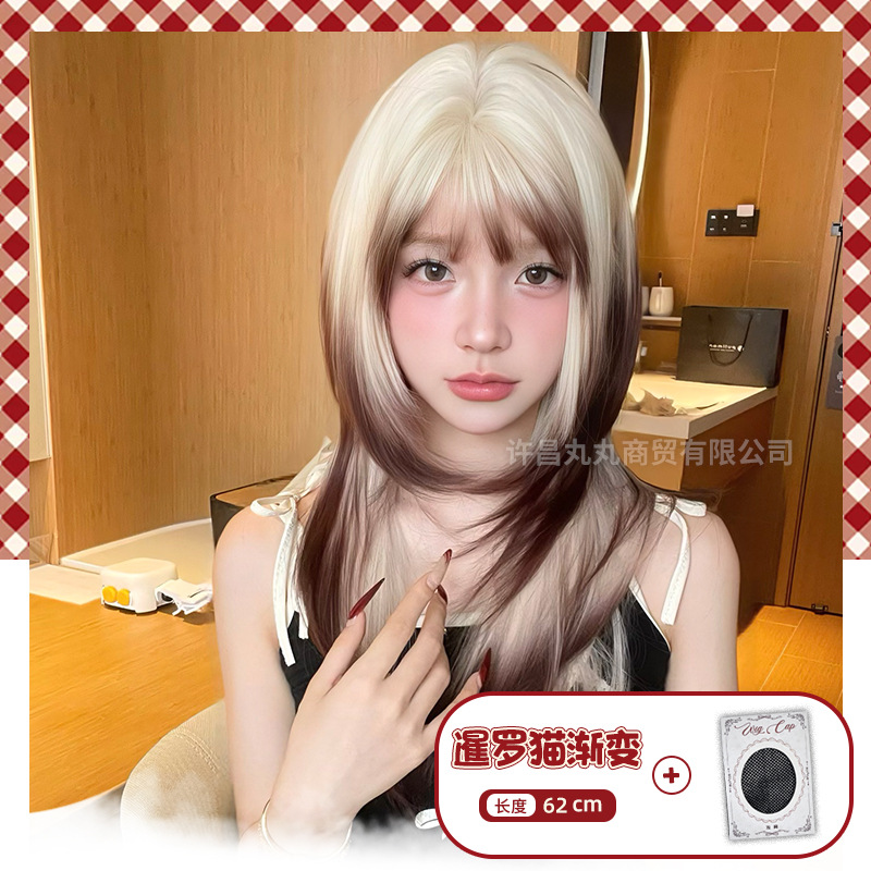 샴 고양이 그라데이션