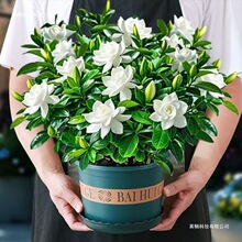 �������莧�����͗d�ӻ������ļ����܃���ֲ��՚ⳣ���ȩ���R�d