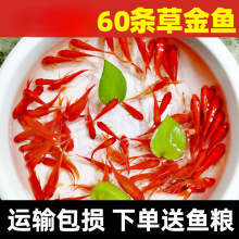 �^�p�~���~С�͵�ˮ�ͻ���ˮ���B���~�w���B�J������~�t�a�~��